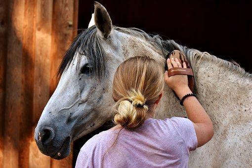 Equitation