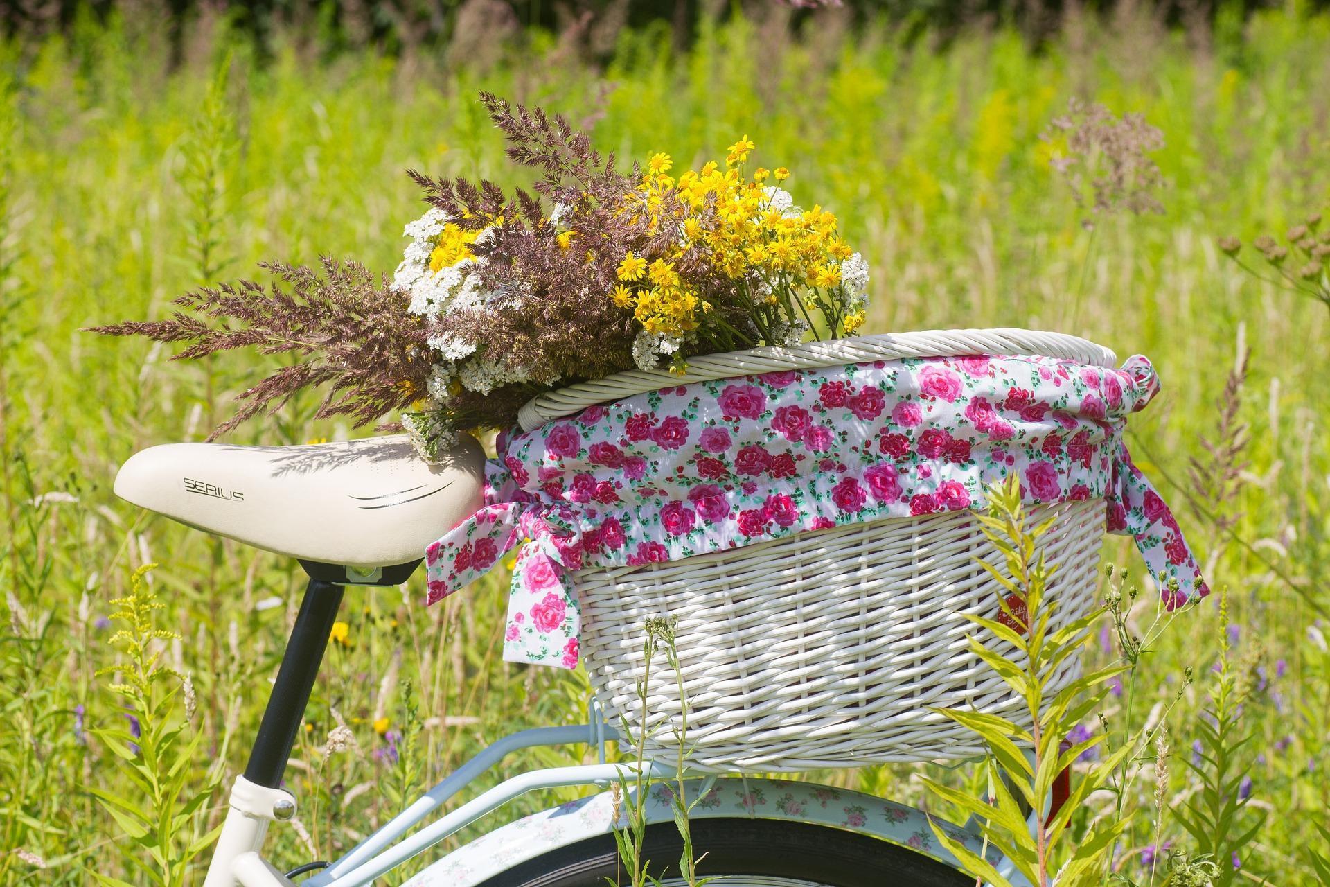 Tour à vélo